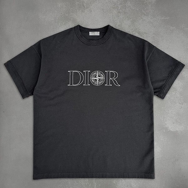 大人気コラボ DIOR StoneIsland Tシャツ 493J638B0554