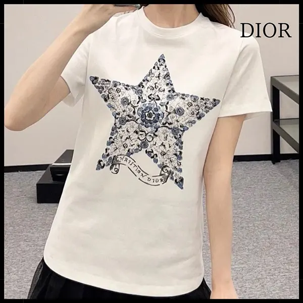 ディオール クルーネック Tシャツ コピー 513T09A4218_X0930