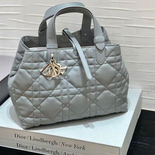 大人気 ディオール TOUJOURS バッグ コピー ミディアム＊5色 M2821OSHJ